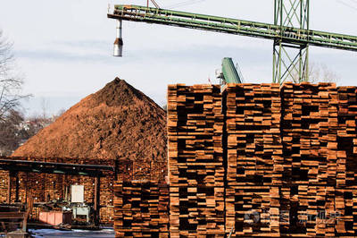 工廠建設(shè)與木材生產(chǎn) 產(chǎn)業(yè)現(xiàn)代化的關(guān)鍵環(huán)節(jié)