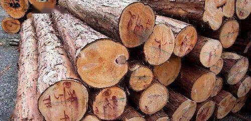 木材深讀 設計師必備的木材知識與應用藝術